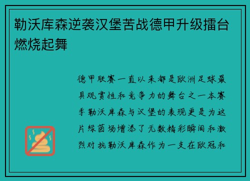 勒沃库森逆袭汉堡苦战德甲升级擂台燃烧起舞
